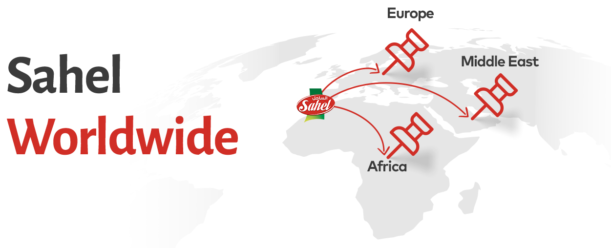 Map logistique et distribution